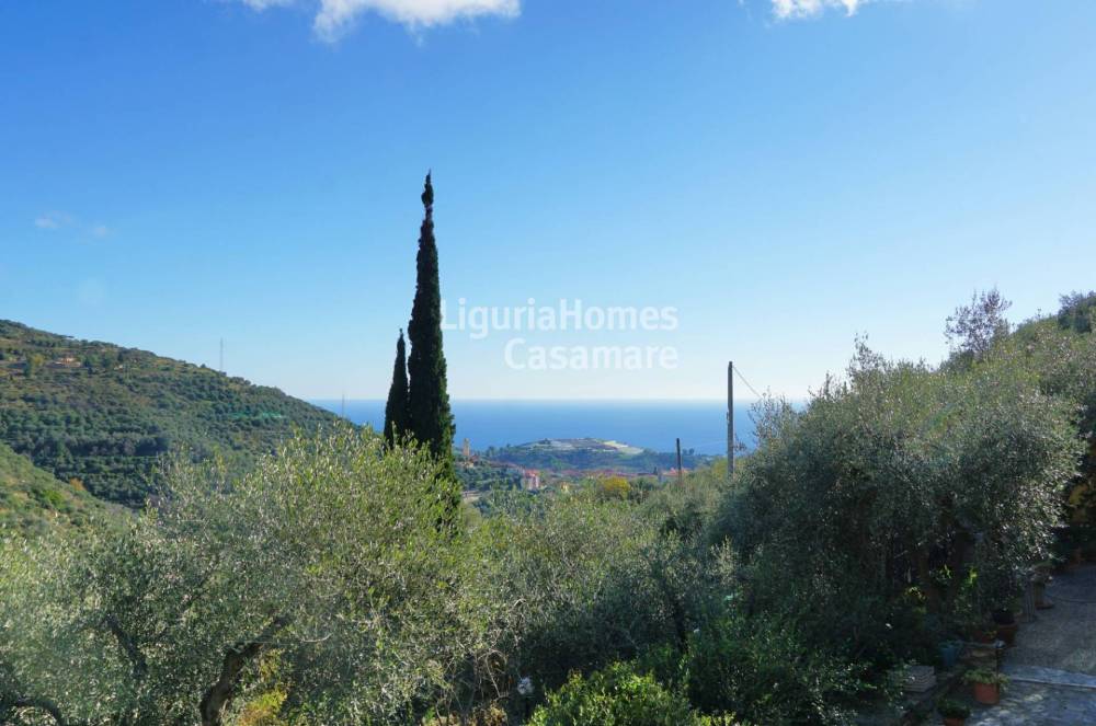 casa indipendente in vendita a Castellaro