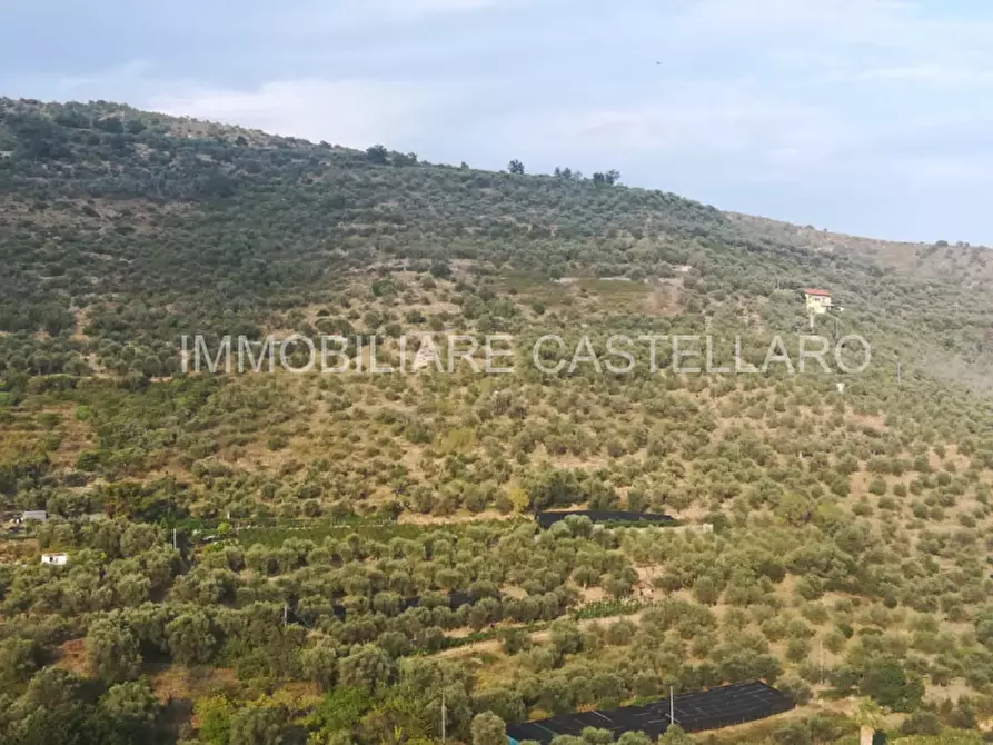 casa indipendente in vendita a Castellaro