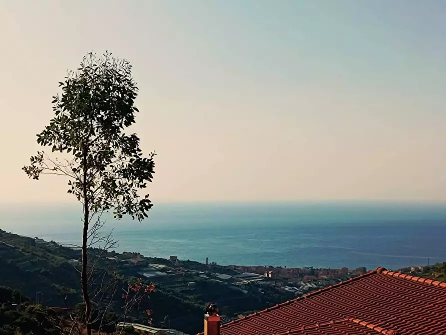negozio in vendita a Castellaro