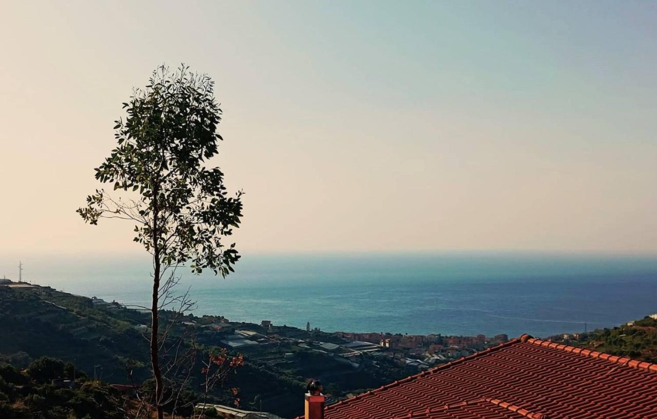 negozio in vendita a Castellaro