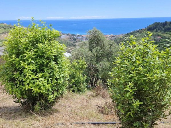 negozio in vendita a Castellaro