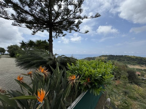 casa indipendente in vendita a Castellaro