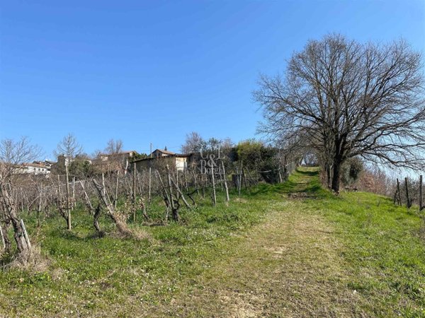 terreno agricolo in vendita a Castellaro