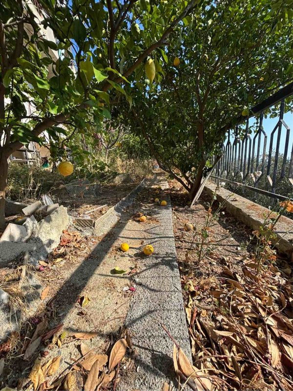 immagine annuncio 0 di 1