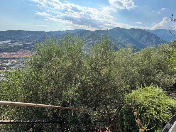 appartamento in vendita a Castellaro