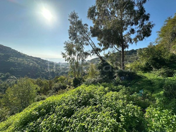 terreno agricolo in vendita a Castellaro