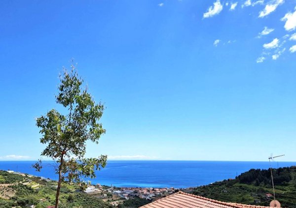 negozio in vendita a Castellaro