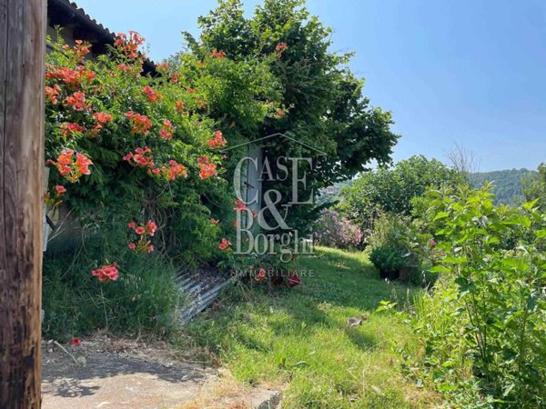 terreno agricolo in vendita a Castellaro