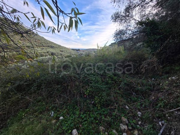 terreno agricolo in vendita a Castellaro