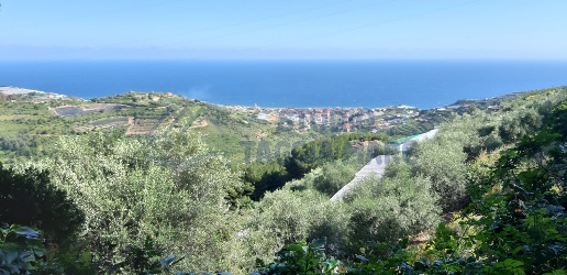 casa indipendente in vendita a Castellaro