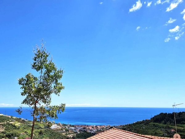 negozio in vendita a Castellaro