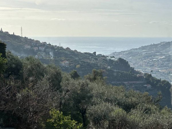 casa indipendente in vendita a Castellaro