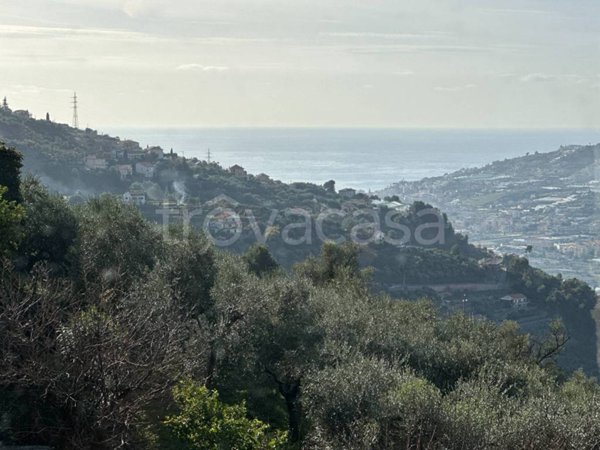 casa indipendente in vendita a Castellaro