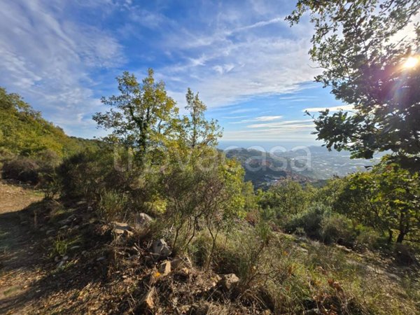 terreno in vendita a Castellaro