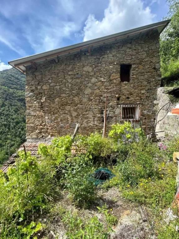 casa indipendente in vendita a Castel Vittorio