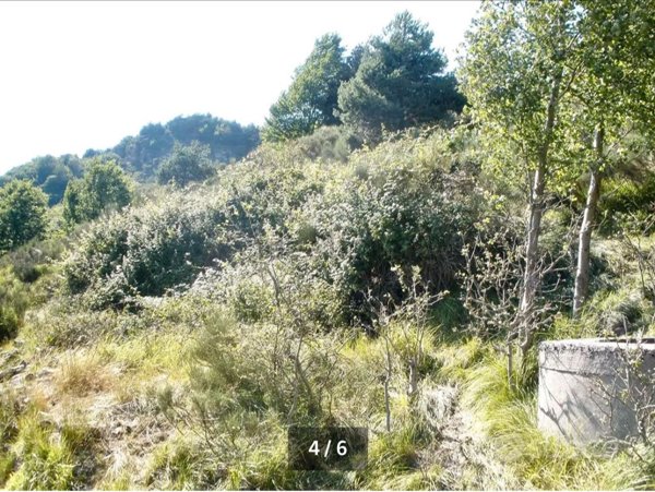 rudere in vendita a Castel Vittorio