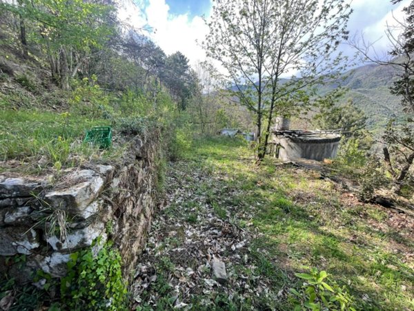 terreno agricolo in vendita a Ceriana