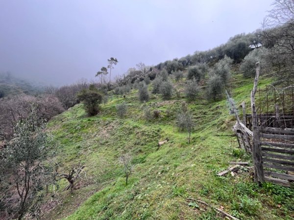 terreno edificabile in vendita a Ceriana