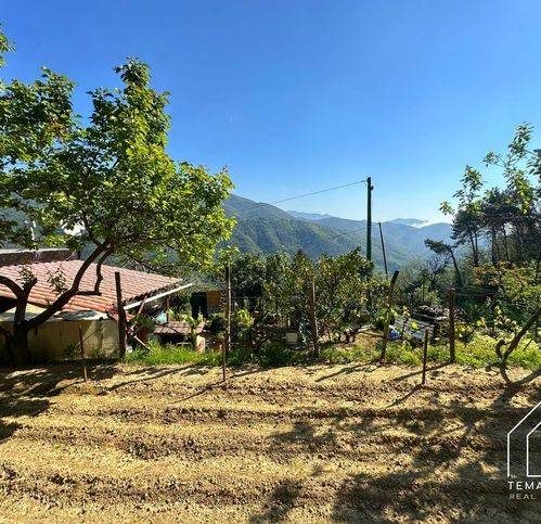 casa indipendente in vendita a Ceriana