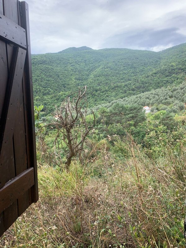 appartamento in vendita a Ceriana