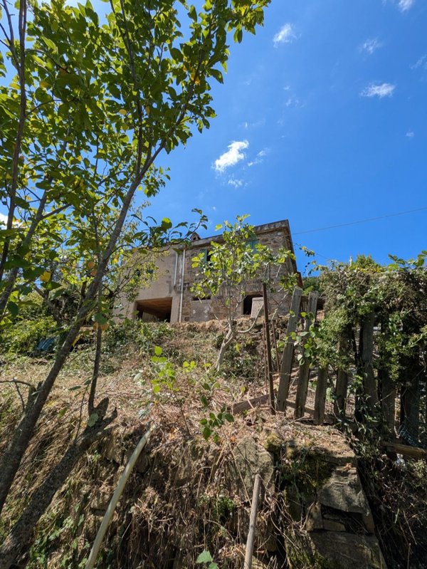 esavano in vendita a Ceriana