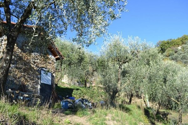 monolocale in vendita a Ceriana