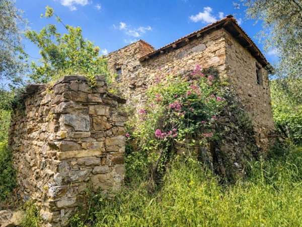 quadrivano in vendita a Ceriana