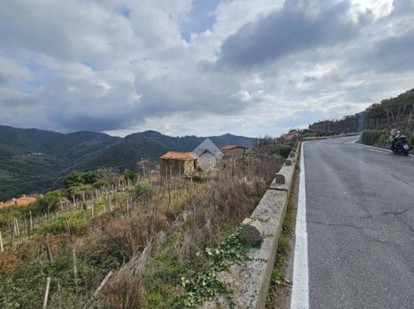 terreno agricolo in vendita a Ceriana