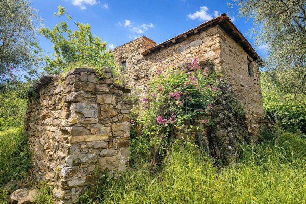 quadrivano in vendita a Ceriana