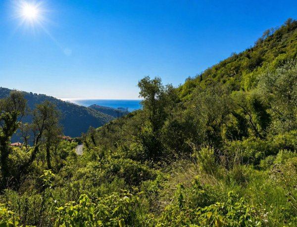 appartamento in vendita a Ceriana