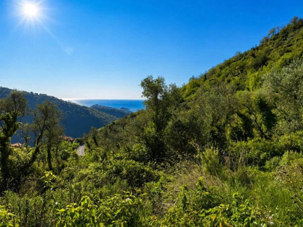 casa indipendente in vendita a Ceriana