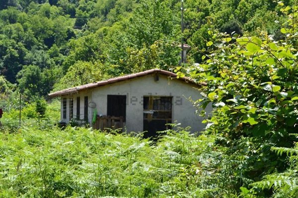 appartamento in vendita a Ceriana