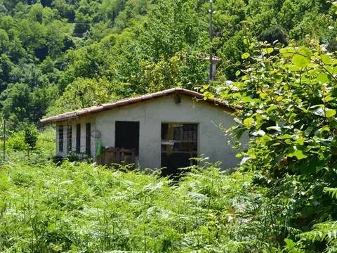casa indipendente in vendita a Ceriana