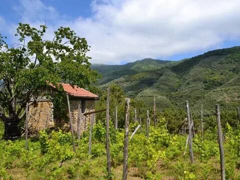 casa indipendente in vendita a Ceriana