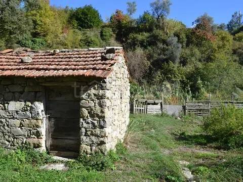 terreno agricolo in vendita a Ceriana