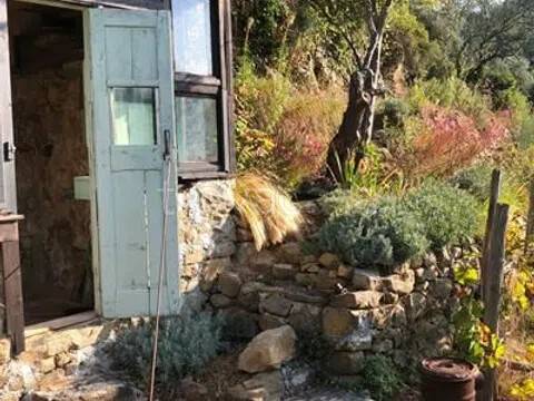 terreno agricolo in vendita a Ceriana in zona Passo Ghimbegna