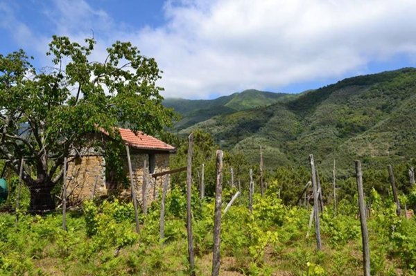 appartamento in vendita a Ceriana in zona Passo Ghimbegna