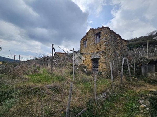 terreno in vendita a Ceriana