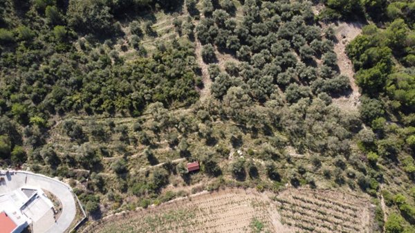 terreno agricolo in vendita a Cervo