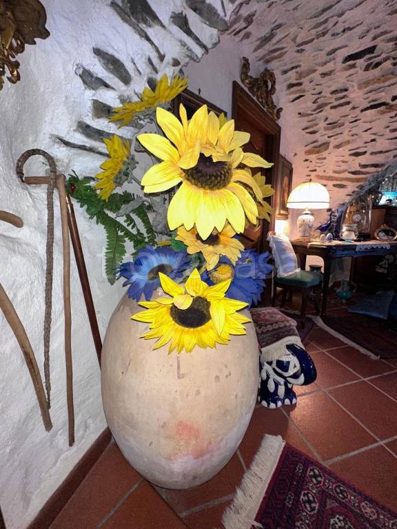 casa indipendente in vendita a Chiusanico