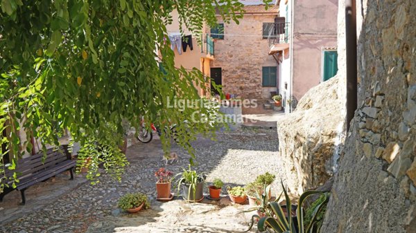 casa indipendente in vendita a Chiusanico