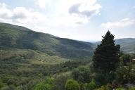 immagine annuncio 0 di 8