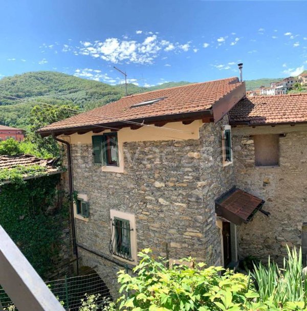 casa indipendente in vendita a Chiusavecchia
