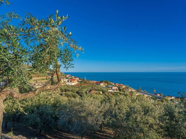 casa indipendente in vendita a Cipressa