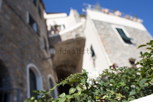 appartamento in vendita a Cipressa