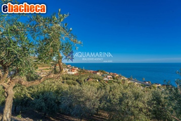 appartamento in vendita a Cipressa