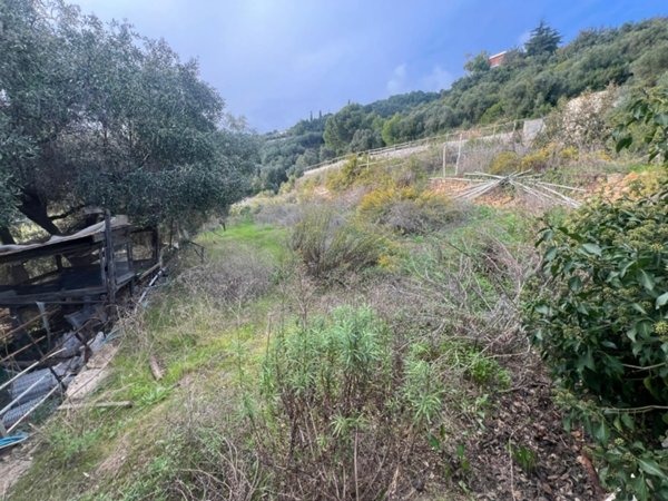 casa indipendente in vendita a Cipressa