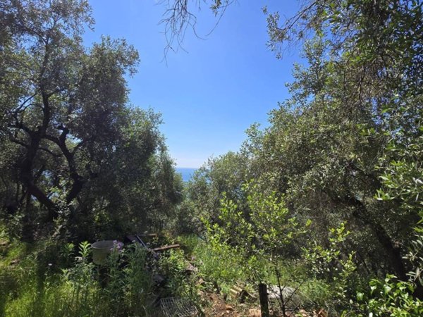terreno agricolo in vendita a Cipressa