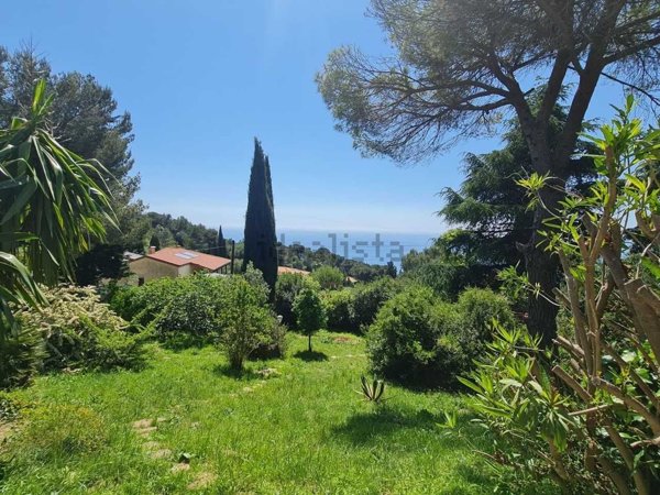 appartamento in vendita a Cipressa in zona Lingueglietta