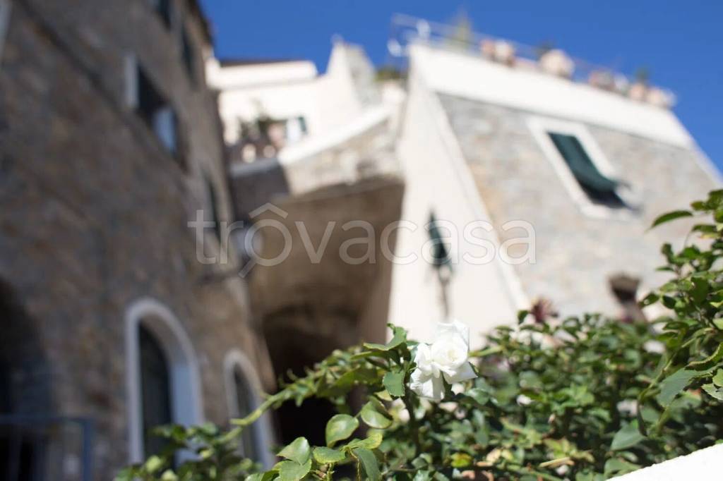 appartamento in vendita a Cipressa